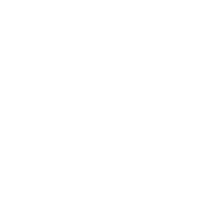 Cost-Effective Icon
