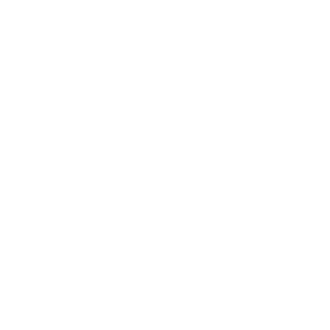 Expert Technicians Icon